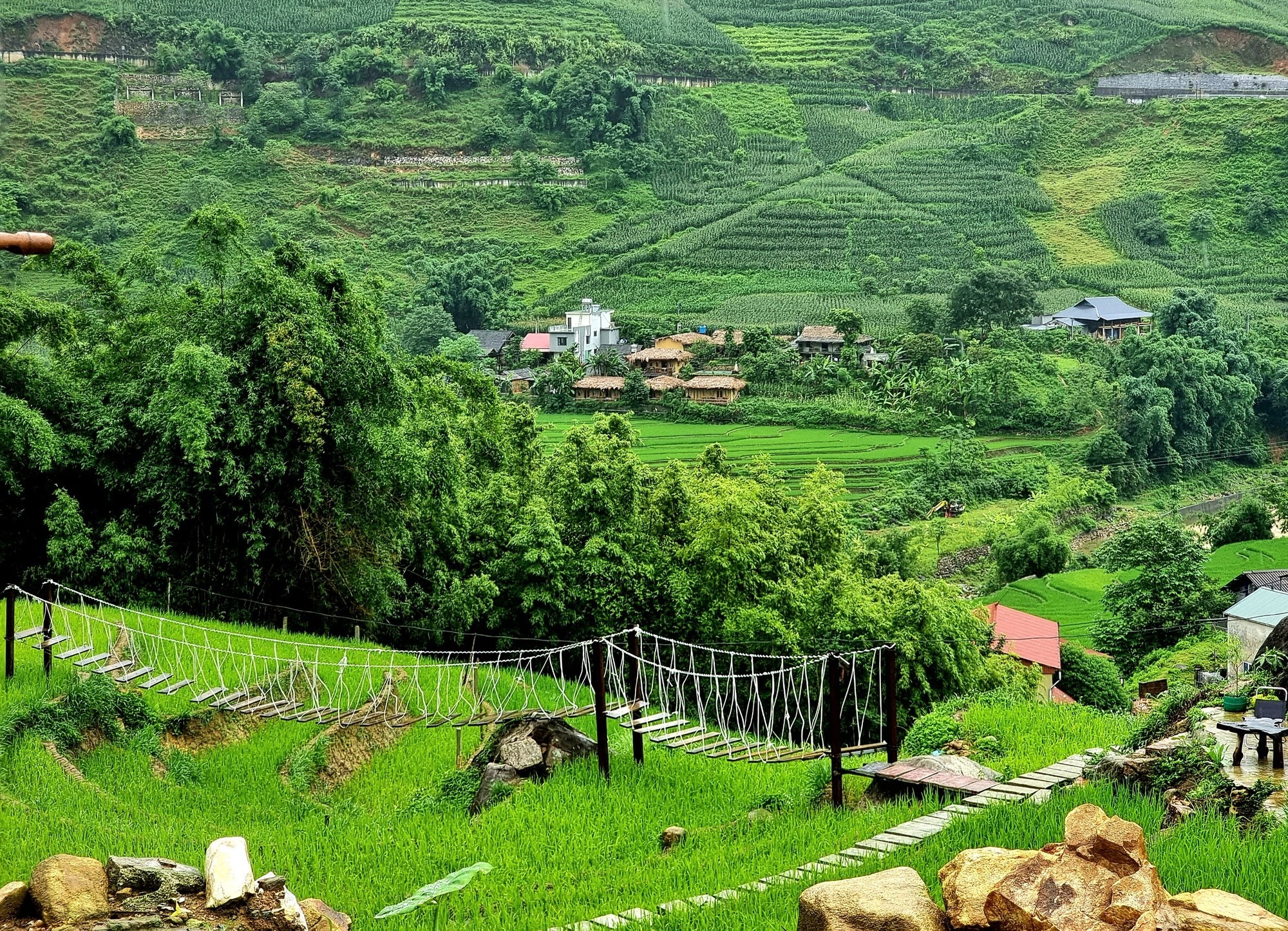 1-Day Sapa Trekking Tour to Cat Cat, San Sa Ho, Y Linh Ho Mong, Lao Chai San & Ta Van